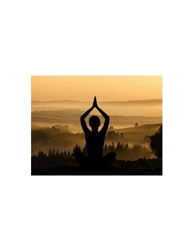 YOGA  -  Jeudi  20h00 - 21h00    2023-2024